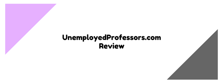 unemployedprofessors.com review