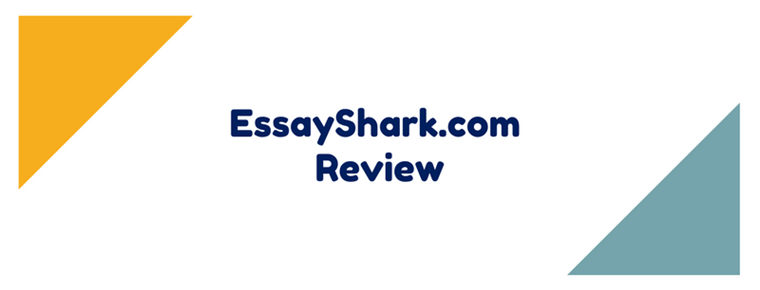 essayshark.com review