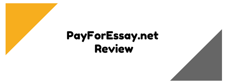 payforessay.net review