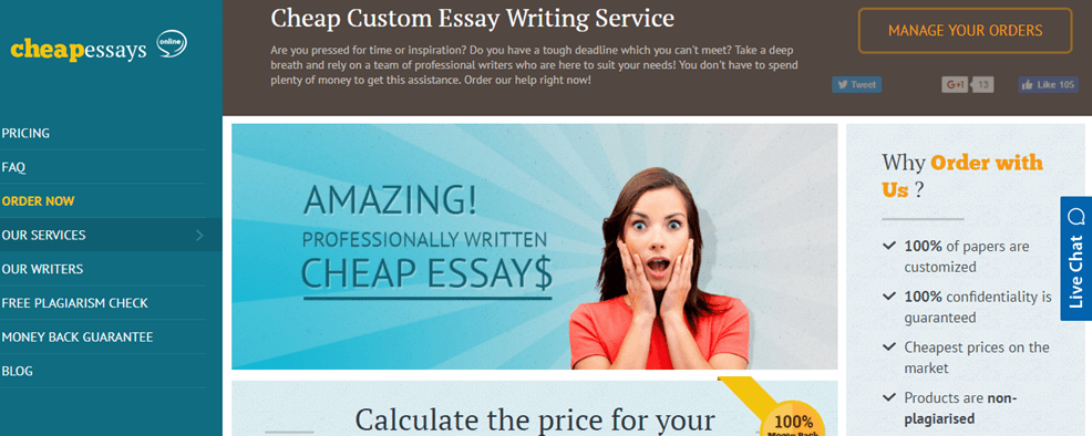 cheap essay writers