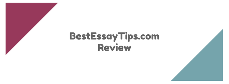 bestessaytips.com review