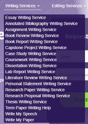 essay writing help service