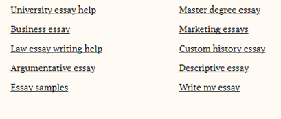 usessaywriters.com services