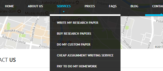 aoneessays.net services