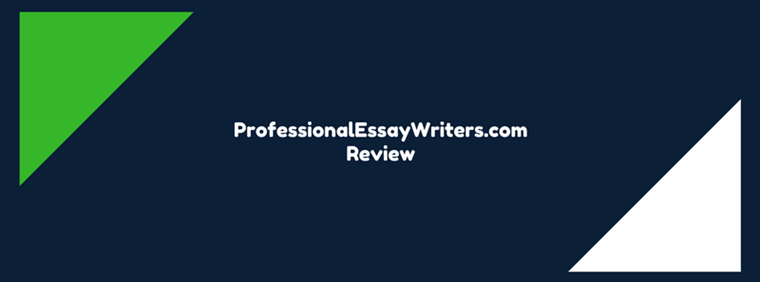 Professional essay writers review