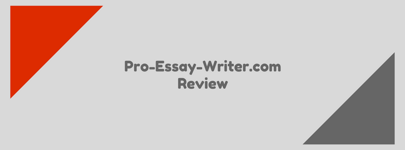 pro-essay-writer.com review