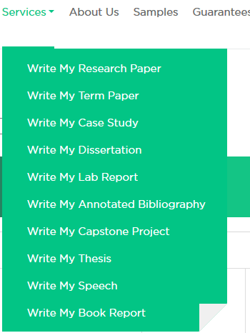 writemyessays.net services
