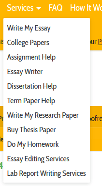 college essay coach cost