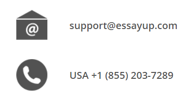 essayup.com customer service